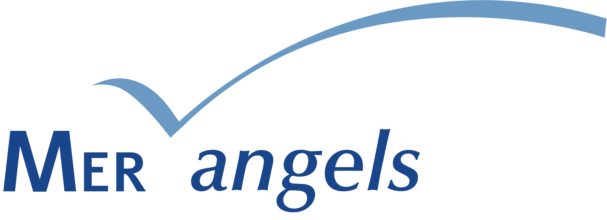 Logo mer angels