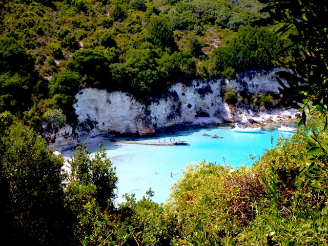 Antipaxos