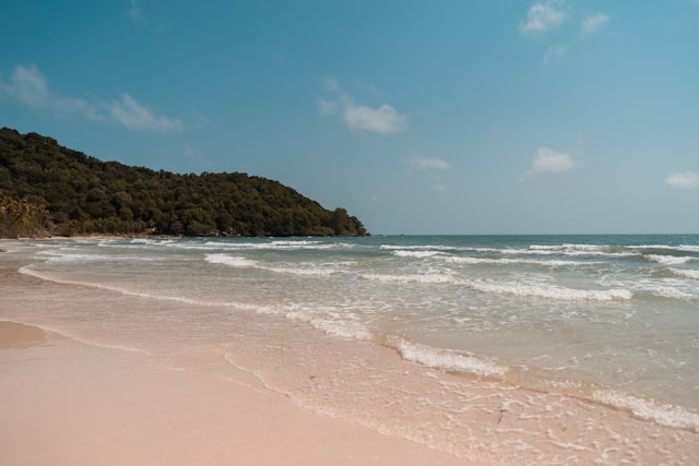Bai Sao