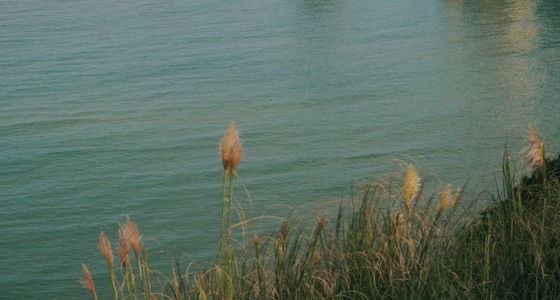 Cote des Basques