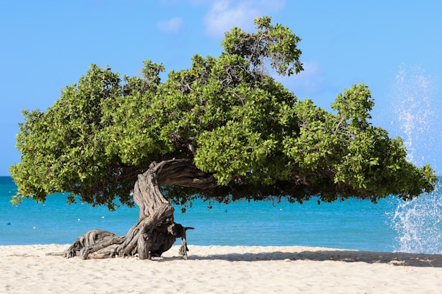 Eagle Beach