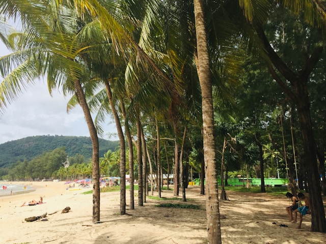 Kamala Beach