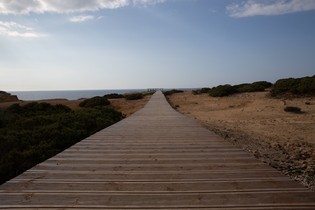 Praia do Amado
