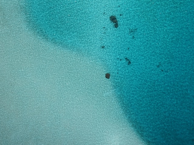 Punta Mogotes