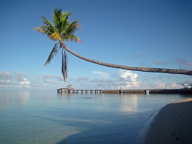 Sulawesi