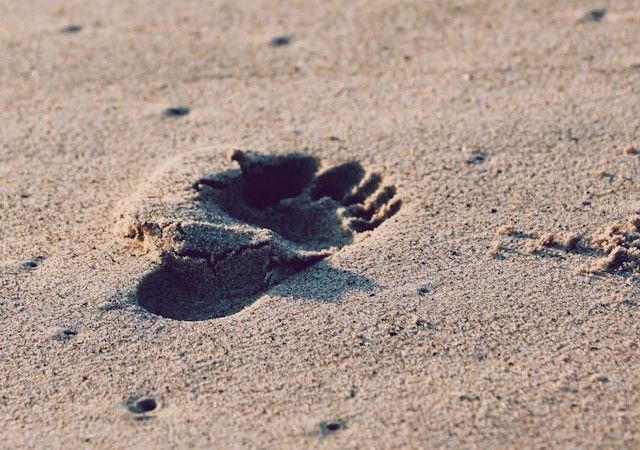 plage 22