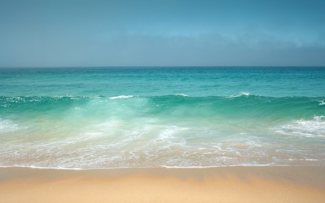 plage 9